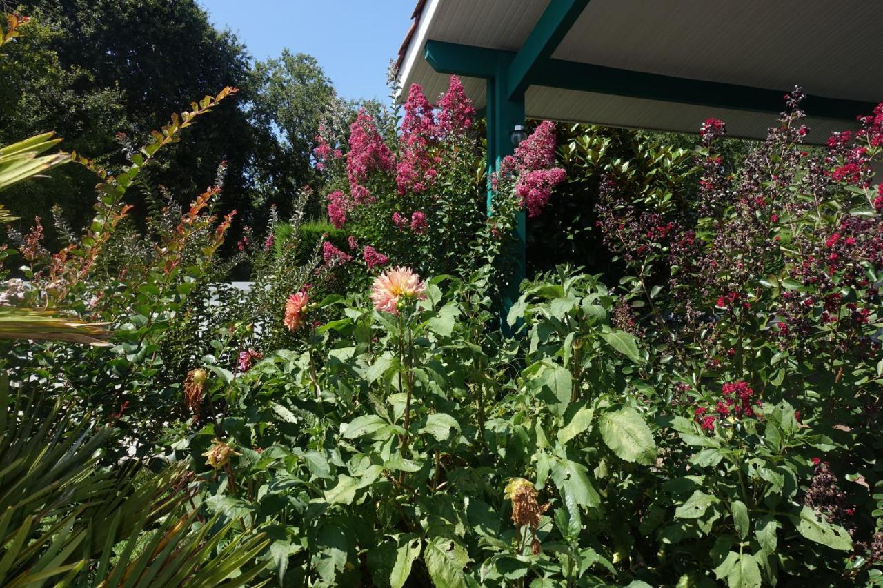 Bed and Breakfast L Annexe Biscarrosse Zewnętrze zdjęcie